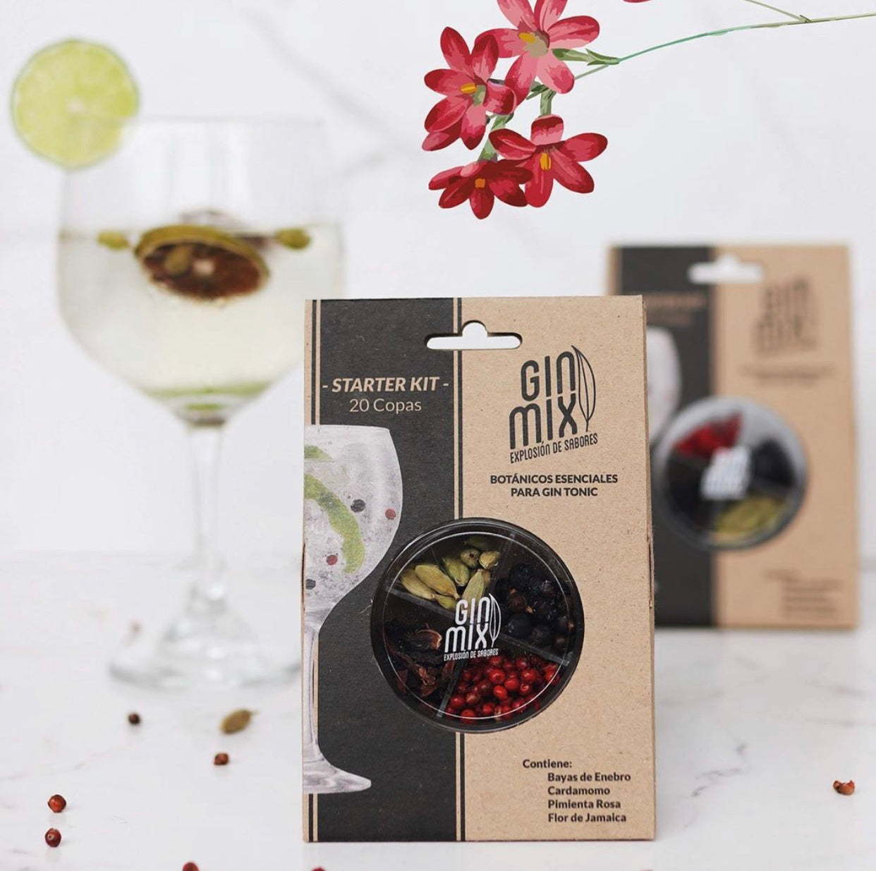 Gin Tonic Starter Kit Casa Viva