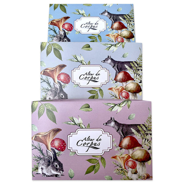 Caja de Regalo Hongos